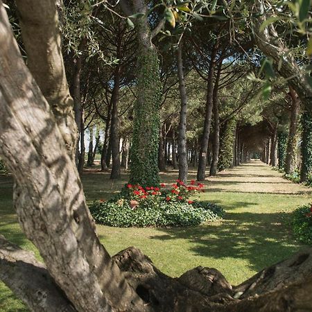 Hotel El Moli Sant Pere Pescador Ngoại thất bức ảnh