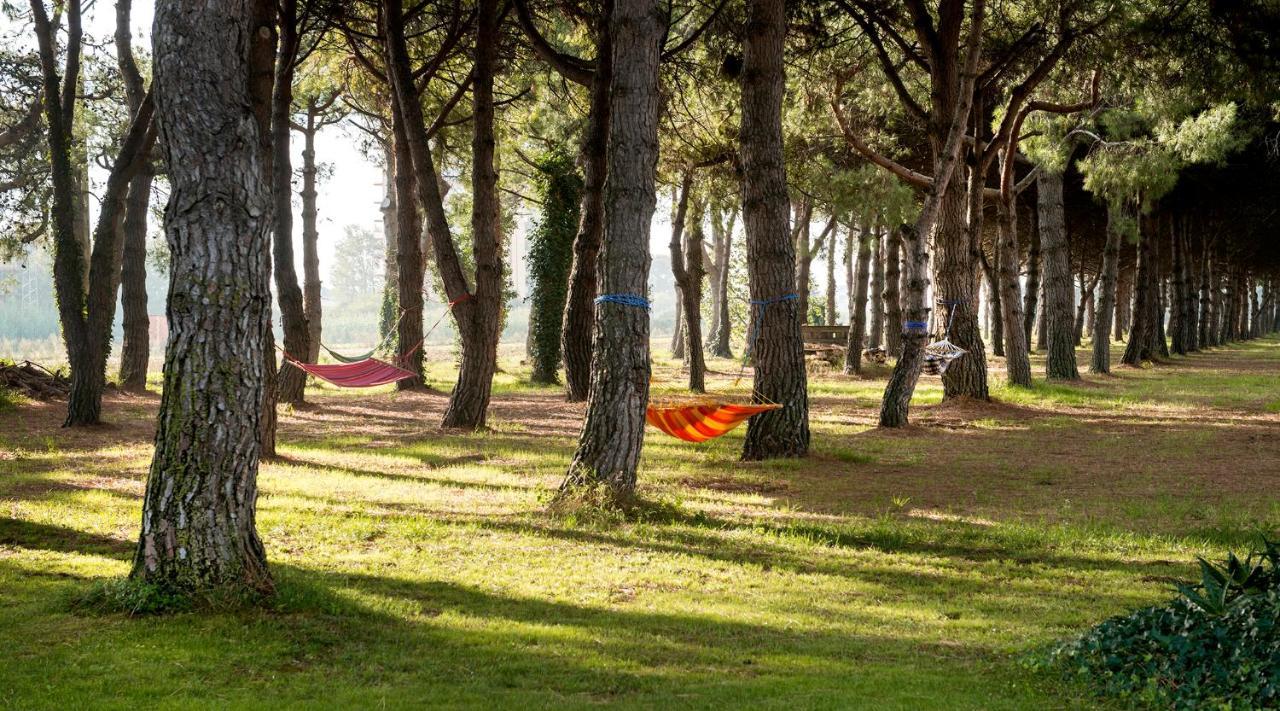 Hotel El Moli Sant Pere Pescador Ngoại thất bức ảnh